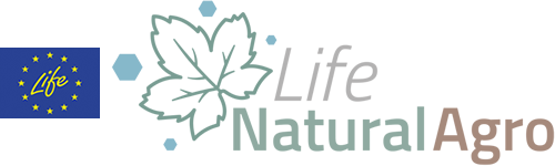 logo_life_natural_agro-life2